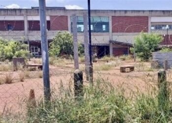 R311m and counting but this Limpopo taxi rank has never opened