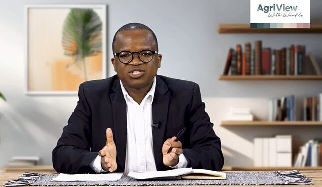 SA’s Soya: A Rising Star!