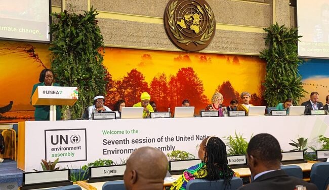 Seventh UN Environment Assembly opens, aiming to advance solutions for planetary resilience – EnviroNews