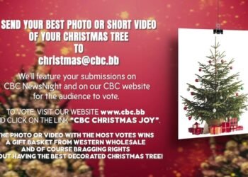 Show off your Christmas Tree on CBC NewsNight to win prizes
