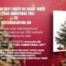 Show off your Christmas Tree on CBC NewsNight to win prizes