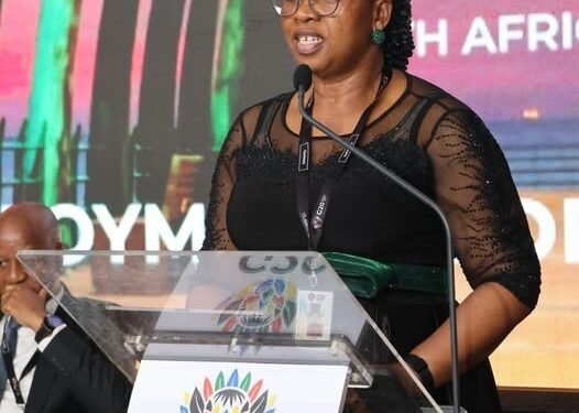 South Africa tightens labour inspections on Chinese, Pakistani-owned businesses