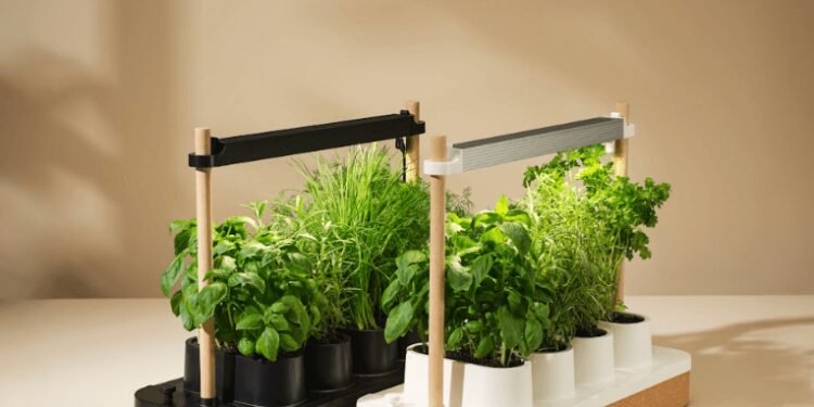 The Auk Mini Herb Garden Is Still Up to $30 Off (2025)
