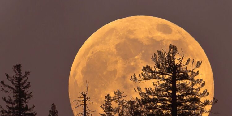 Thursday’s Cold Moon Is the Last Supermoon of the Year. Here’s How and When to View It