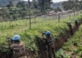 UN DR Congo mission welcomes peace agreement