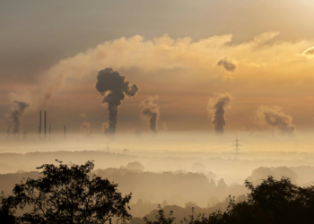 What Is Net Zero Really?