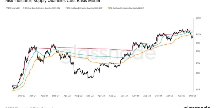 What will it take for Bitcoin treasury companies premiums to return?