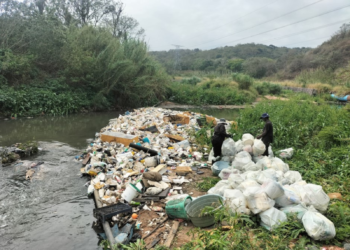 Why We Need A “Last Line Of Defence” Against Litter