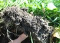 why farmers must act now to save soils