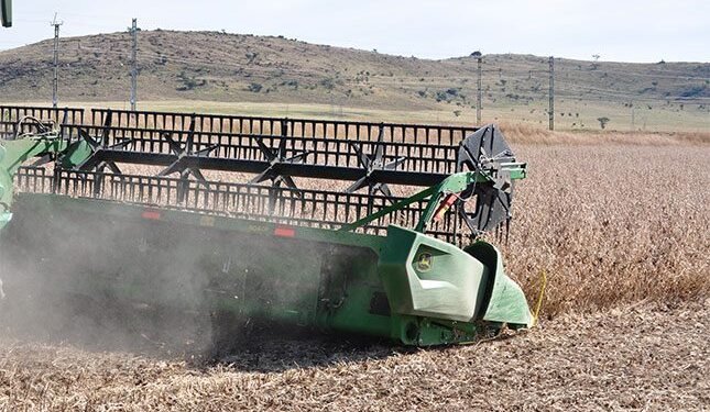 2025/26 soya bean season outlook shows structural sector improvements