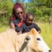 A haven for children to learn about farming