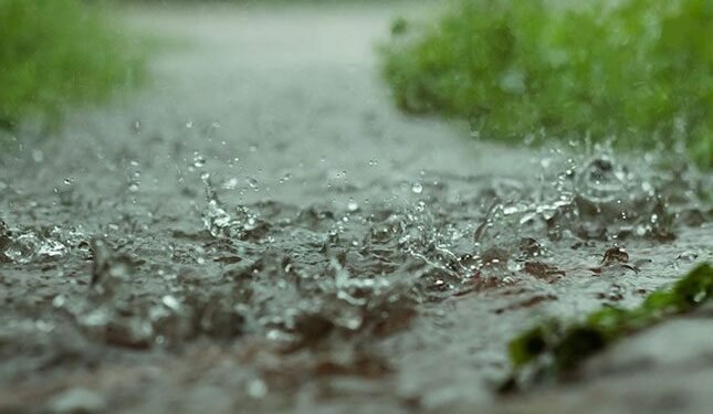Anomalies and contrasts ruled SA’s rainfall patterns in 2025