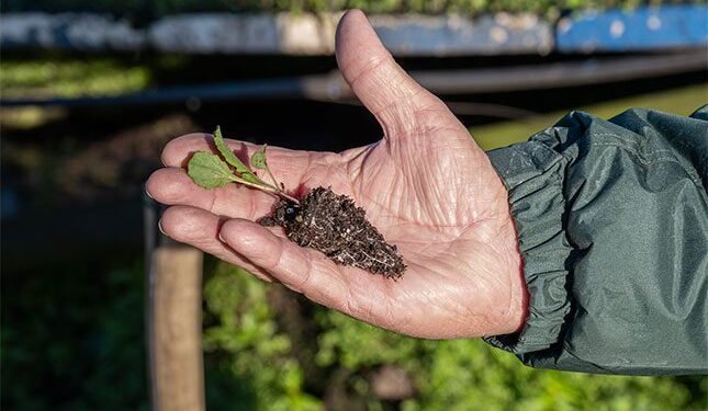 Broad skillsets pave road to labour success in agriculture