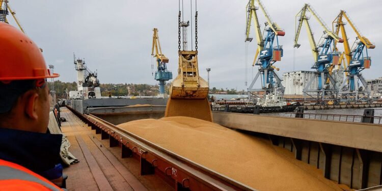 Can Africa’s Potential Feed a Hungry World?