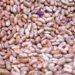 Cautious outlook for dry beans