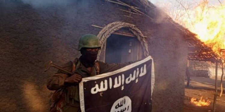 Dialogue must complement military action in Cabo Delgado