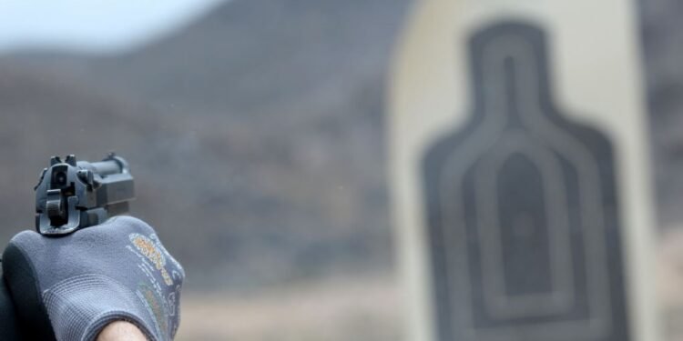 Disarming the compliant won’t make South Africa safer