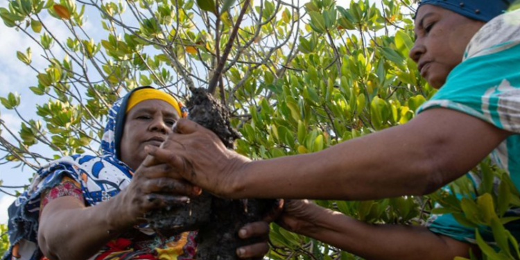 ESG and Carbon Finance in Africa: The $3 Trillion Potential