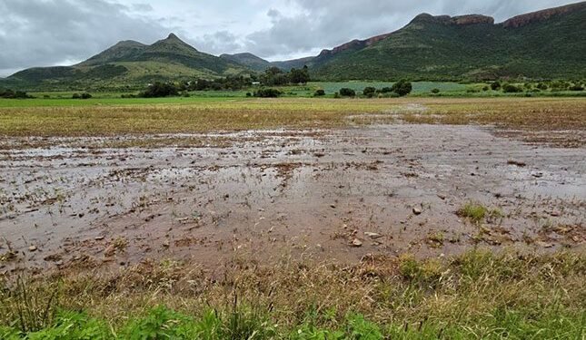 Efforts underway to assist flood victims in Limpopo and Mpumalanga
