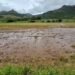 Efforts underway to assist flood victims in Limpopo and Mpumalanga