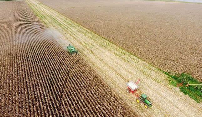 FNB signals optimism for the year ahead