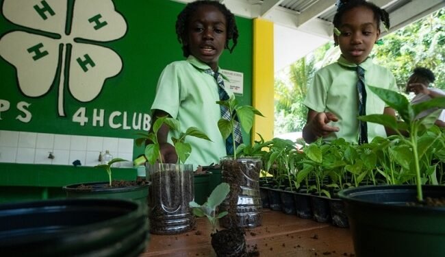 Five ways in which education is driving environmental action – EnviroNews