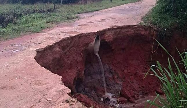 Flood risk looms as Mpumalanga braces for up to 800mm of rain