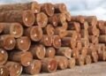 Groups laud govt on wood export ban, seek transparent enforcement – EnviroNews