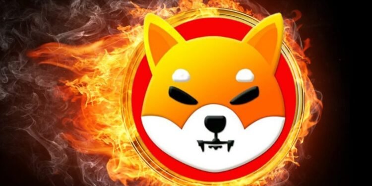 Hold SHIB Too Long, and This Could Happen