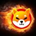 Hold SHIB Too Long, and This Could Happen