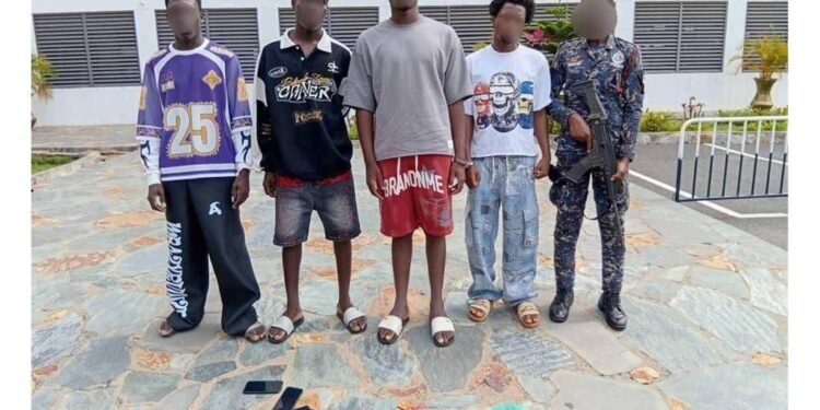 Interpol Op Sentinel hits African cyber criminals