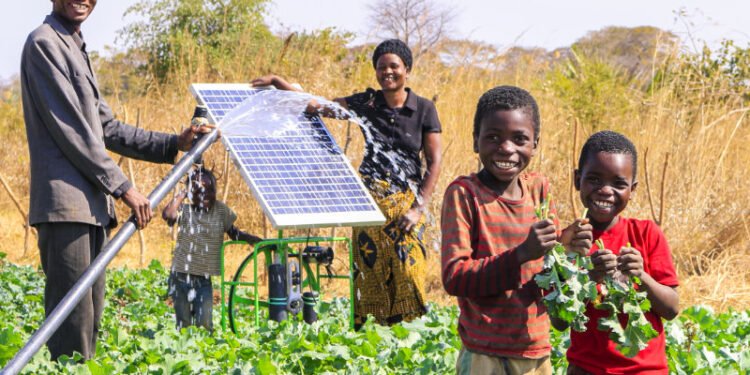 Is Tanzania’s 2027 Food Security Dream Realistic?