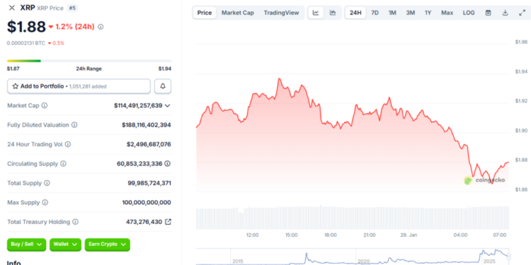 Is XRP Just a Hype Asset or a Once-in-a-Lifetime Opportunity?