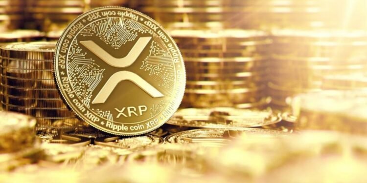 Largest XRP Wallets in 2026: Who Really Controls XRP