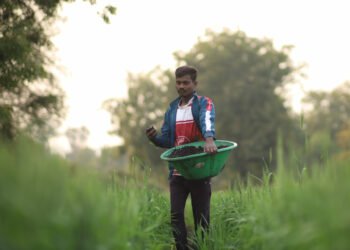 Microsoft taps India’s Varaha for durable carbon removal offtake