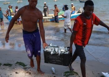 Mozambique’s $100m seafood industry crashes as Spanish investor announces exit