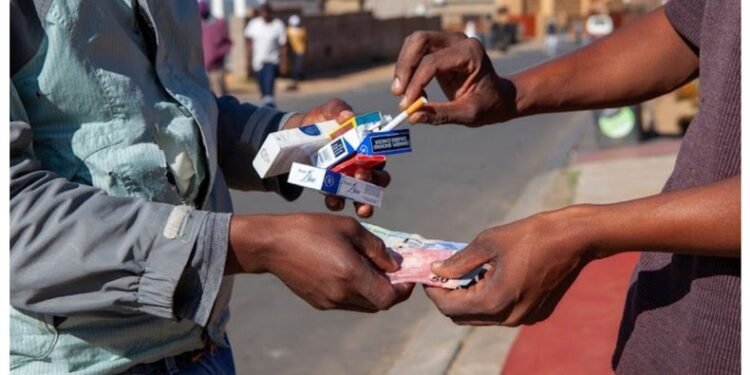 Multibillion-dollar tobacco company shuts down South African factory due to illicit trade