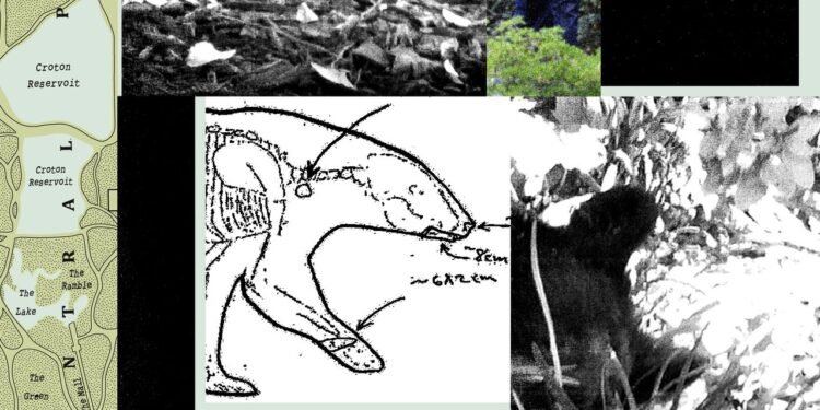 New Records Reveal the Mess RFK Jr. Left When He Dumped a Dead Bear in Central Park