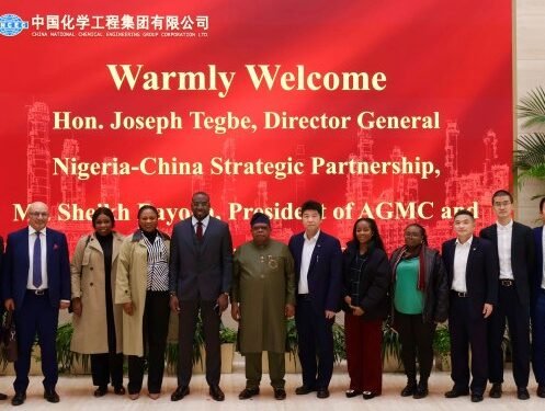 Nigeria emerges top Belt and Road beneficiary with China-backed $24.6bn GRIP megaproject