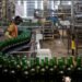 Nigerians spend over $1bn on beer in 9 months as brewers hit record sales