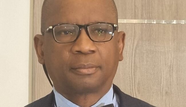 Oluyinka Olumide: Why Lagos must take control of informal spaces – EnviroNews