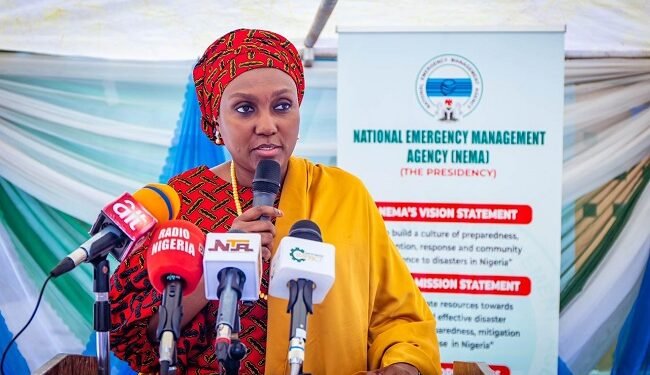 Overhauling Nigeria’s emergency response mechanism – EnviroNews