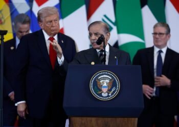 Pakistan Increases Diplomacy, Arms Sales in Middle East and North Africa