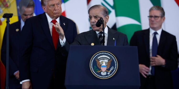 Pakistan Increases Diplomacy, Arms Sales in Middle East and North Africa