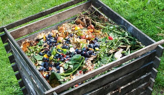 Recognising the value of manure and organic waste