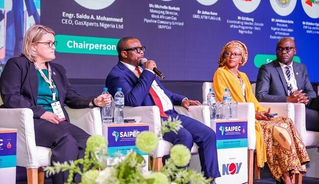 SAIPEC confirms first series of speakers for 10th anniversary programme – EnviroNews