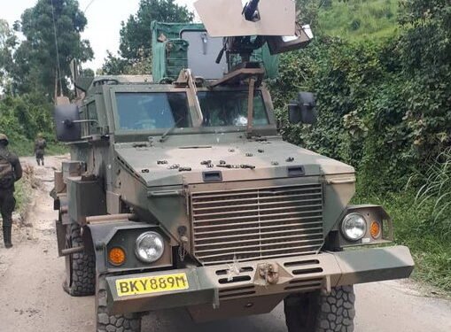 Sent naked into the DRC storm with an impossible mandate