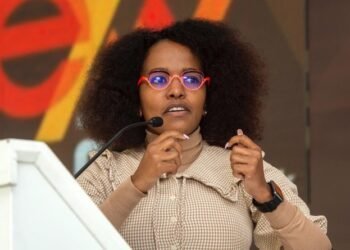 South Africa’s automotive industry suffers as Chinese cars flood local market