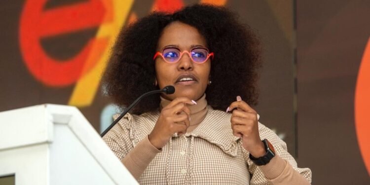 South Africa’s automotive industry suffers as Chinese cars flood local market