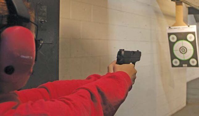 The fine print of firepower: gun laws and ownership